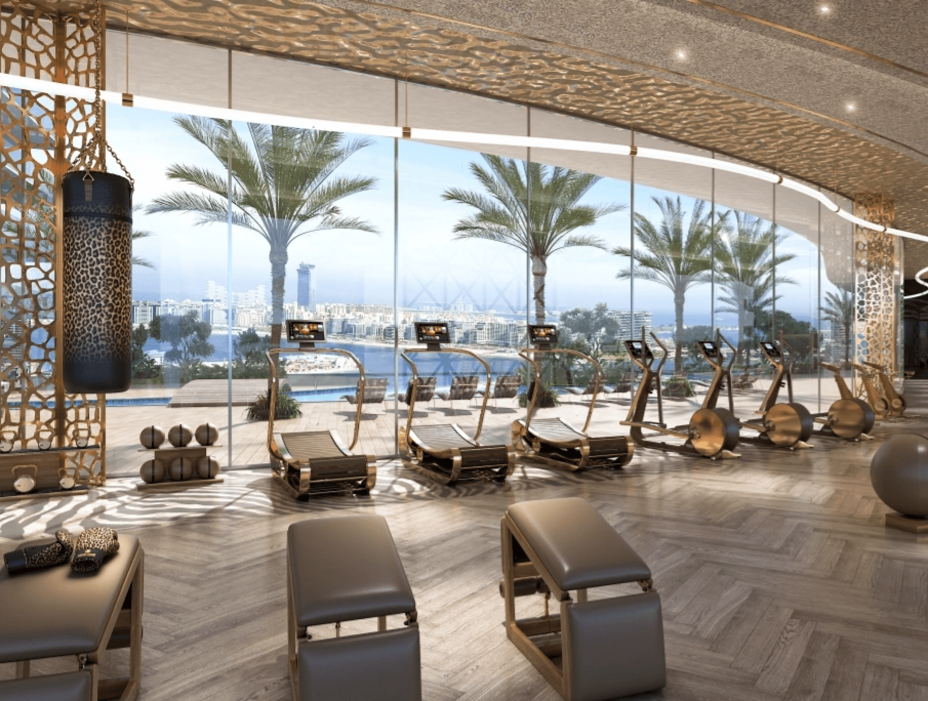 Cavalli Gym image
